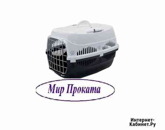 Прокат. Переноска для животных Спутник-ZooM Барнаул