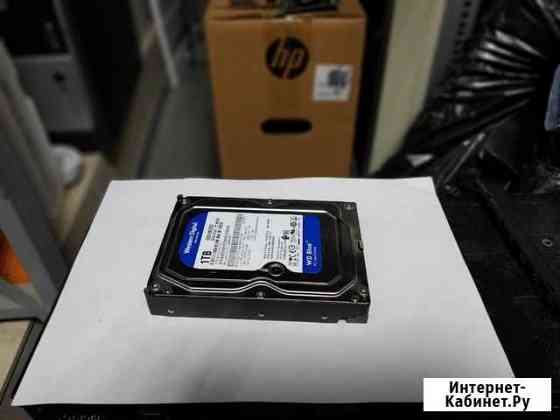 Hdd Western Digital Blue 1Tb Уфа