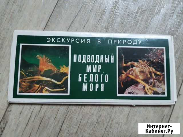 Открытки СССР Архангельск - изображение 1