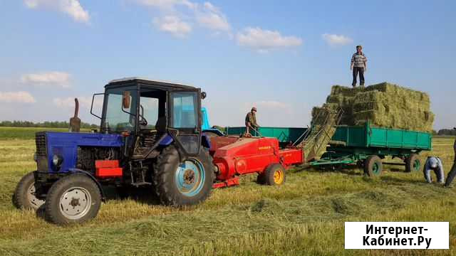 Сено в тюках укоса 2021 года Раменское - изображение 1
