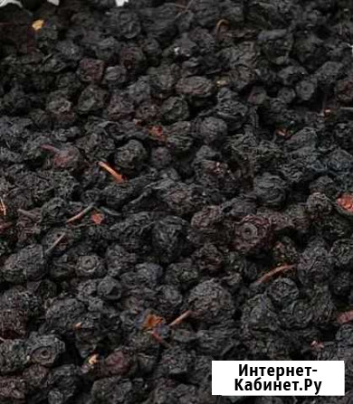 Черника сушеная Чистополь - изображение 1