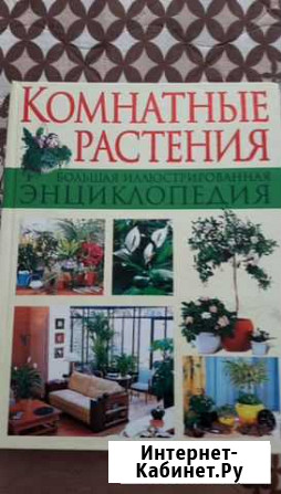 Энциклопедия Комнатные растения Братск - изображение 1