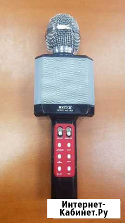 Колонка микрофон Wster WS-1828 Иркутск - изображение 1