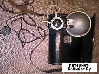 Фотовспышка чайка Заречный - изображение 1