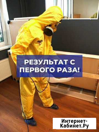 Дезинфекция, травить тараканов, уничтожение клопов Смоленск - изображение 1