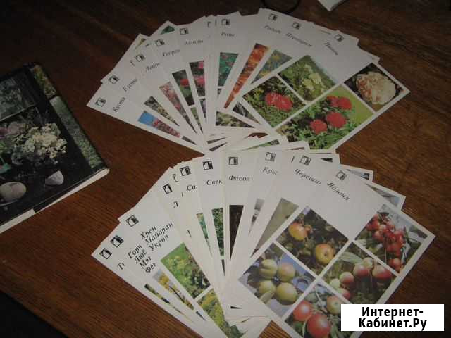 Набор открыток Ваш приусадебный участок СССР Казань - изображение 1