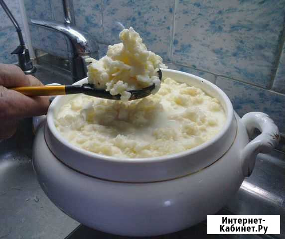 Тибетский молочный (кефирный) гриб Нижний Новгород - изображение 1