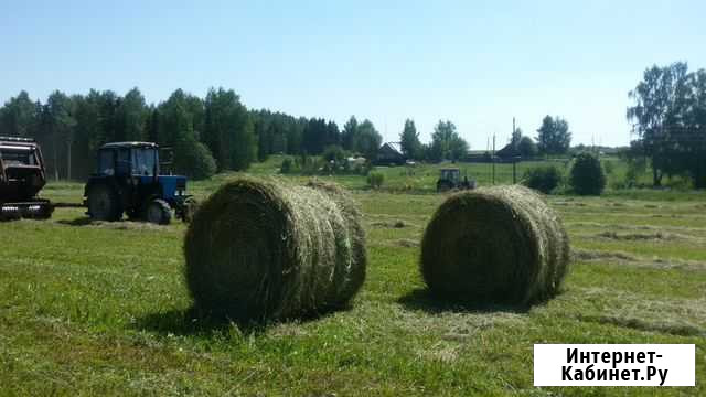 Сено в рулонах Вахруши - изображение 1