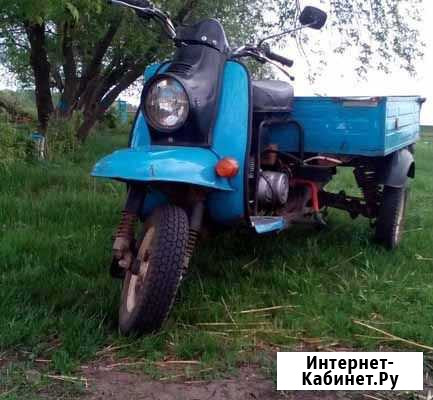 Муравей Омск - изображение 1