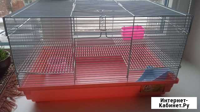 Клетка для грызунов большая Энгельс - изображение 1