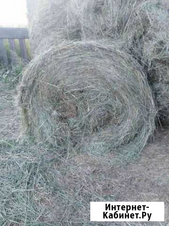 Продам сено в рулонах Оек - изображение 1
