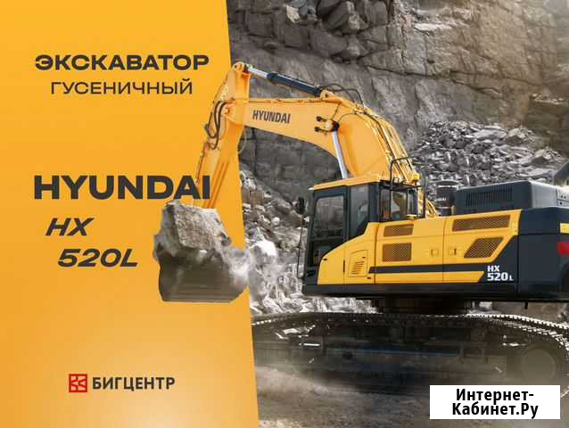 Гусеничный экскаватор Hyundai R 520LC-9S, 2022 Казань - изображение 1