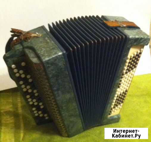 Баян Ракитное - изображение 1