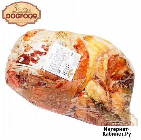 Наборы для собак Первоуральск - изображение 1
