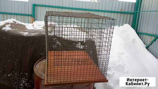 Клетка для перевозки животных Нежинка - изображение 1