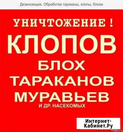 Уничтожение насекомых и грызунов Нерюнгри - изображение 1