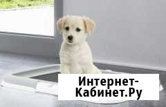 Лоток для приучения к Туалету Томск - изображение 1
