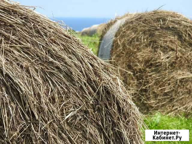 Сено в рулонах и тюках Ступино - изображение 1