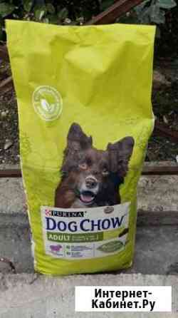 Корм для собак Dog Chow 14 кг Сочи