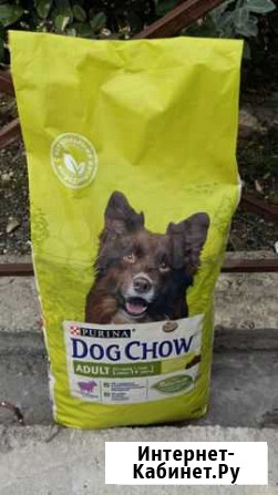 Корм для собак Dog Chow 14 кг Сочи - изображение 1