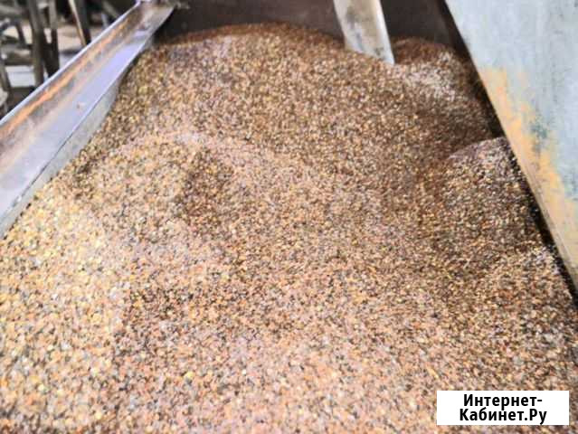 Продается мини завод по переработке гречихи Шелаболиха - изображение 1