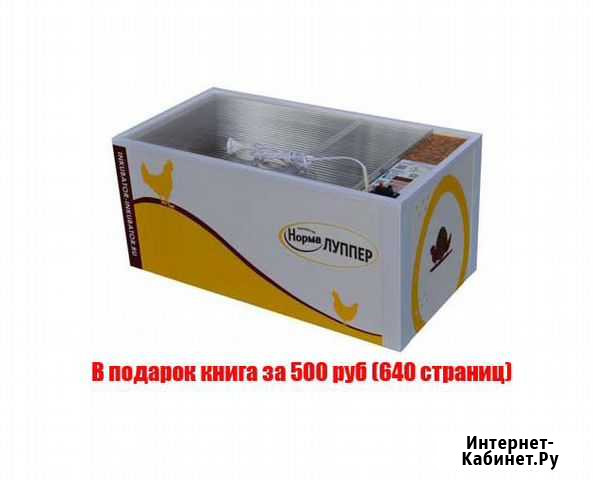Инкубатор для яиц блиц Норма Луппер 72 Новосибирск - изображение 1