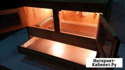 Брудер для цыплят, птенцов с ниппельной системой Новосибирск