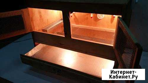 Брудер для цыплят, птенцов с ниппельной системой Новосибирск - изображение 1