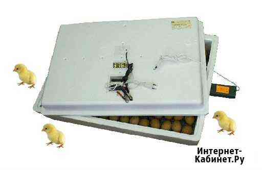 Инкубатор автомат 104 яйца (220/12 В). Цифровой Новосибирск