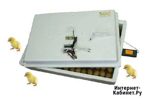 Инкубатор автомат 104 яйца (220/12 В). Цифровой Новосибирск - изображение 1