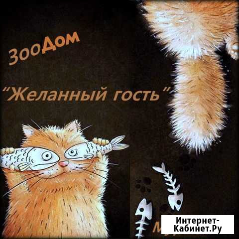 Предлагаем квартирную передержку Мурманск - изображение 1