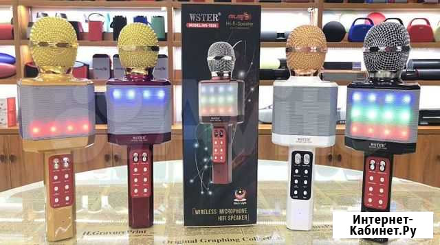 Микрофон караоке оригинал Wster WS-1828 Воронеж - изображение 1