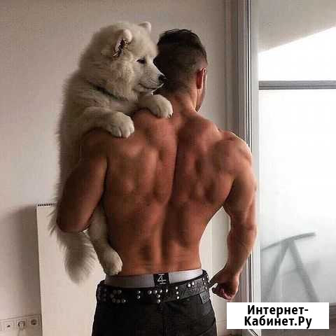 Фитнес тренер Воронеж - изображение 1
