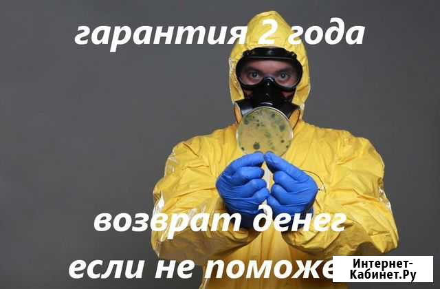 Уничтожение клопов, тараканов, муравьев. Обработка Кемерово - изображение 1