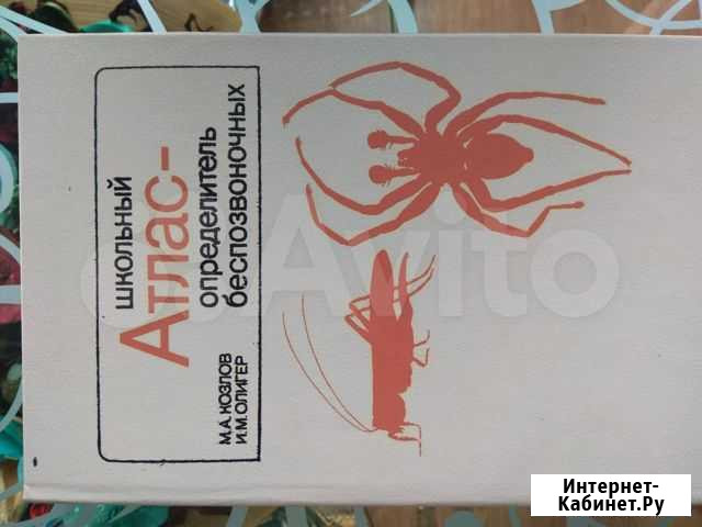 Атлас определитель Кемерово - изображение 1