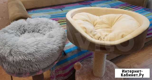 Лежаки пледы одеяла для кошек и собак Подольск - изображение 1