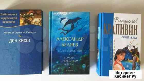 Книги:Дон Кихот, Человек-Амфибия Томск