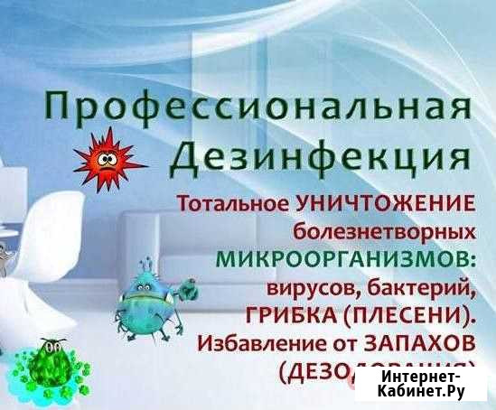 Дезинфекция и удаление любых запахов озоном Петропавловск-Камчатский - изображение 1