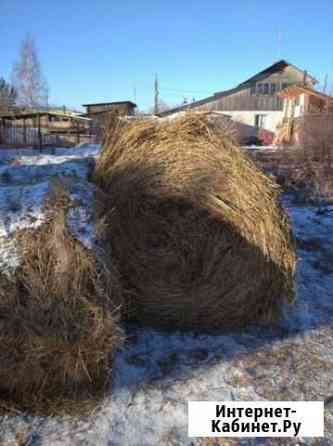 Сено в рулонах Белоярский