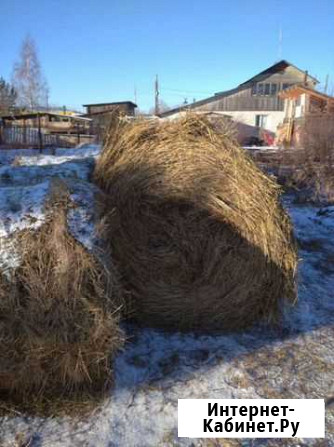Сено в рулонах Белоярский - изображение 1