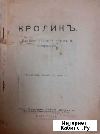 Кроликъ : Краткое описание пород и содержание Коломна - изображение 1