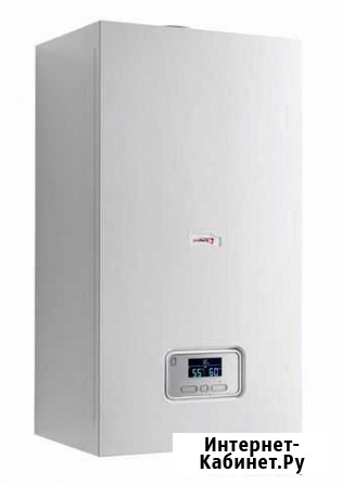 Настенный газовый котел Protherm Пантера 25 KTO Оренбург - изображение 1