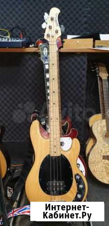 Music Man StingRay Bas 4 Classic Natural Тюмень - изображение 1