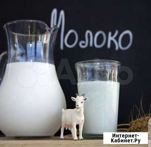 Козье молоко Тихвин - изображение 1