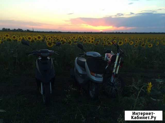 Honda dio 34 cesta Гвардейское - изображение 1
