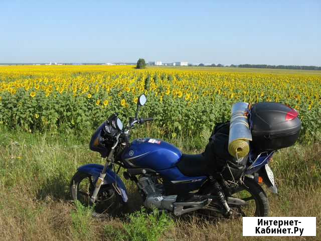 Yamaha YBR125 Севастополь - изображение 1