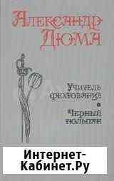 А. Дюма.Учитель фехтования. Виконт де Бражелон и Омск