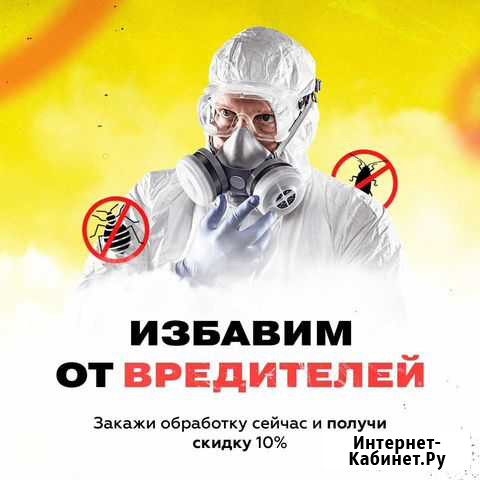 Дезинсекция Пермь - изображение 1