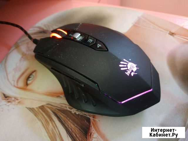 Terminator TL70 Горно-Алтайск - изображение 1