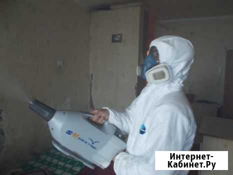 Санобработка от Тараканов и Клопов в Тольятти Тольятти - изображение 1